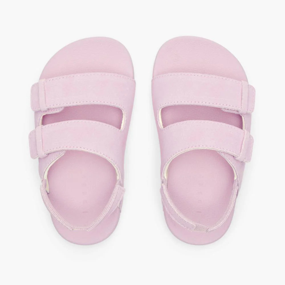 Reef - Little Ojai Pink