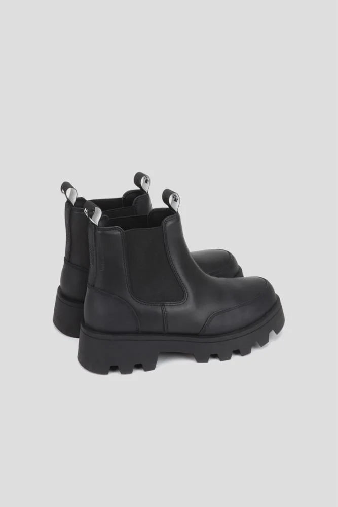 Cougar - Shani Black