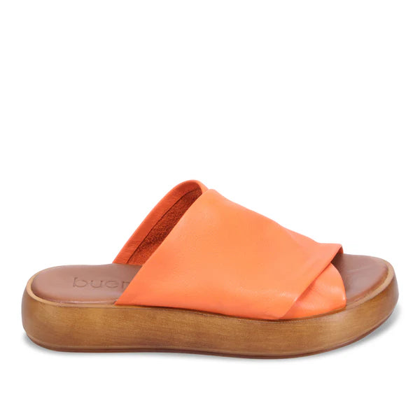 Bueno - Jaxon Sunset