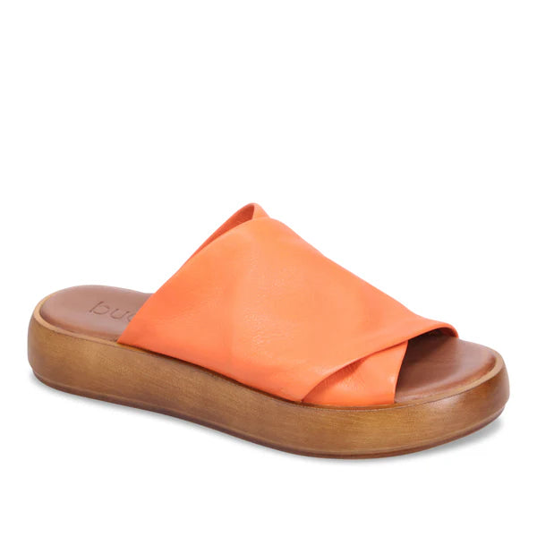 Bueno - Jaxon Sunset