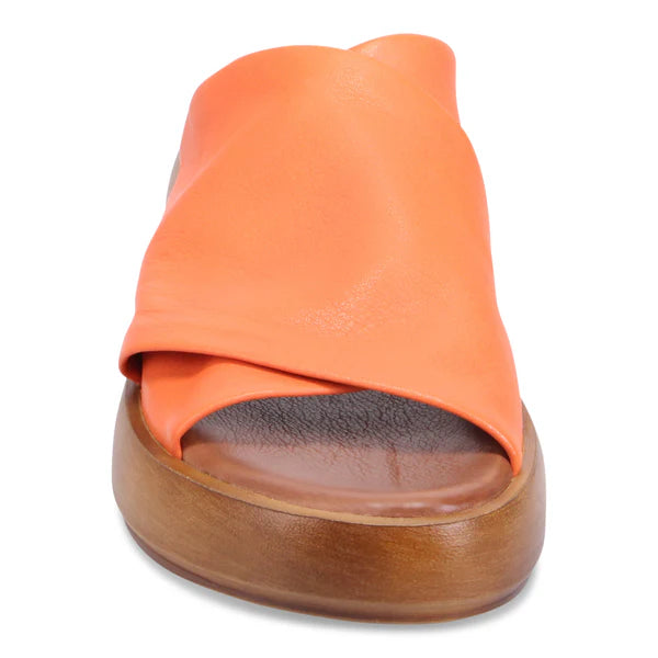 Bueno - Jaxon Sunset