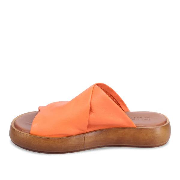 Bueno - Jaxon Sunset