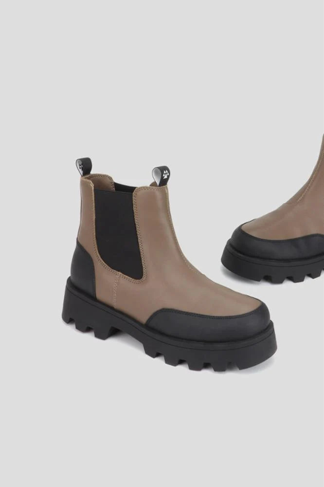 Cougar - Shani Almond